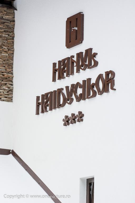 Hanul Haiducilor Obarsia-Lotrului Extérieur photo