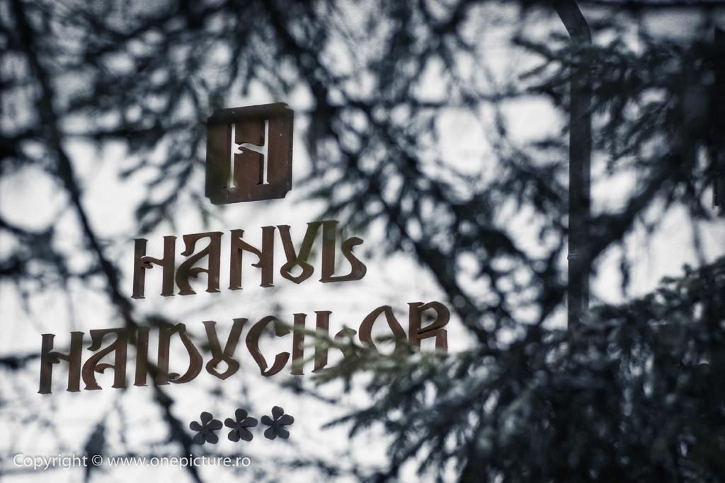 Hanul Haiducilor Obarsia-Lotrului Chambre photo